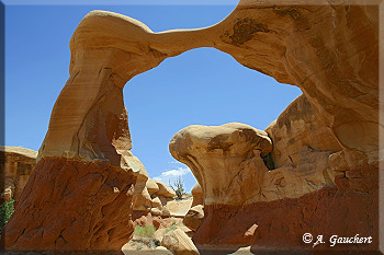 Die Metate Arch